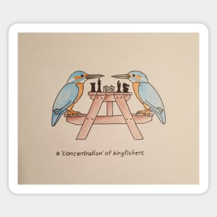 A 'Concentration' of Kingfishers Sticker